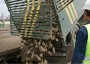 Η Royal Sugar δίνει όραμα στη δουλειά μας λένε οι τευτλοπαραγωγοί